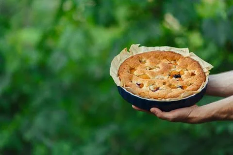 Apple pie in the hands of the cook Stock Photos