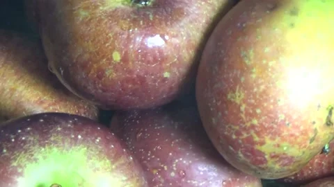 Apple on plate Stock Footage 292337052