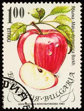 Apple on postage stamp Stock Photos