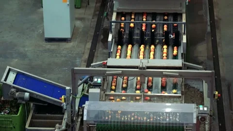 Apple Processing in Food Processing Plant Stock Footage 233967947