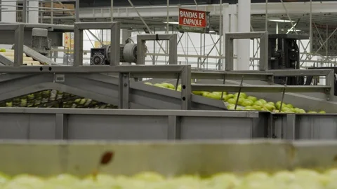 Apple production factory Stock Footage 96177909