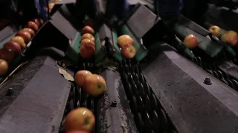 Apple production line Vídeo Stock 22216260