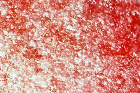 Apple pulp under the microscope Stock Photos