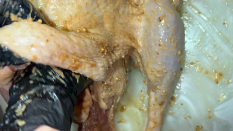 Apple is put into goose ready to cook Stock Footage 221427950