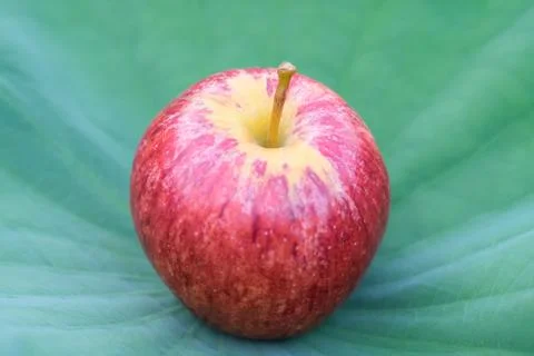 Apple red on a green leaf background. Stock-Fotos
