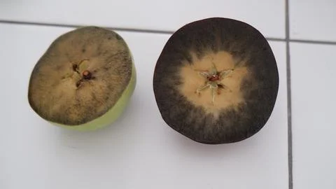 Apple ripeness testing using Lugol's solution, chemical experiment Stock Photos