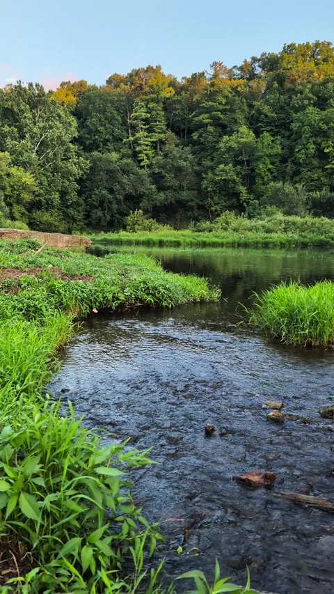 Apple River Canyon State Park Illinois Stock Footage 344626139