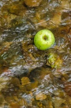 An apple in a river Foto stock
