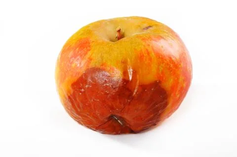 Apple rot Stock Photos