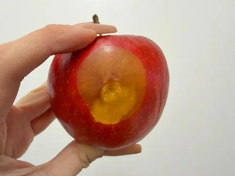 Apple with rot spot held in hand. red fruit showing soft brown decay area on Stock Photos