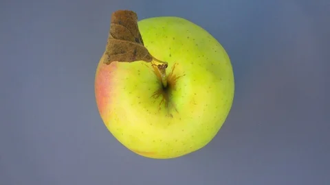 Apple rotates in a circle.5 Stock Footage 122764309