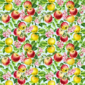 Apple Seamless pattern. Botanical painting watercolor illustration. Branch with Stock Illustration