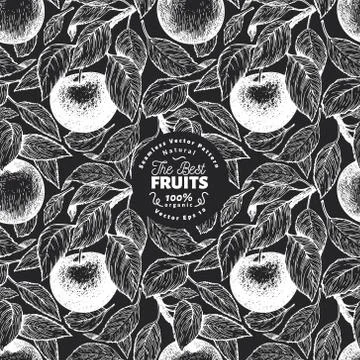 Apple seamless pattern. Hand drawn vector garden fruit illustration on chalk  Stock Illustration