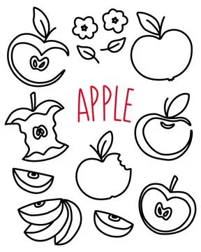 Apple set hand drawn with thin line isolated on white background Stock-Illustration