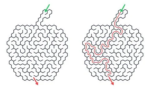 Apple shape maze game for kid. Educational puzzle with solution path. Brain t Stock Illustration