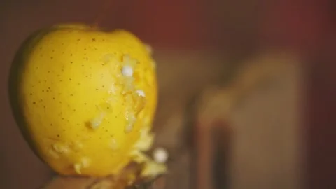 An apple is shot with bullets Stock Footage 224705821