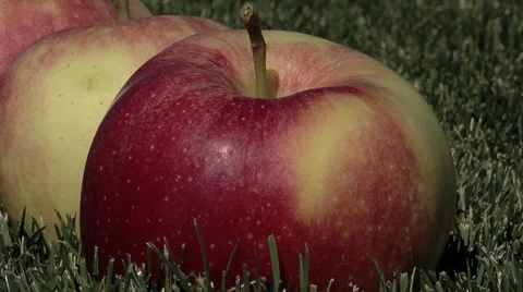Apple sitting in the grass Stock Footage 948512