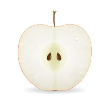 Apple slice Illustrazione stock
