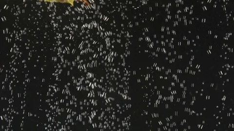 Apple slices falling into water on black background. Fresh fruit in the water Stock Footage 111414666