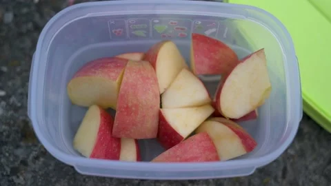 Apple slices in a snack box for a snack in between Stock Footage 132281499