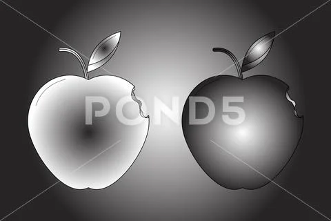 Apple with a small bite grayscale gradient 库存插图