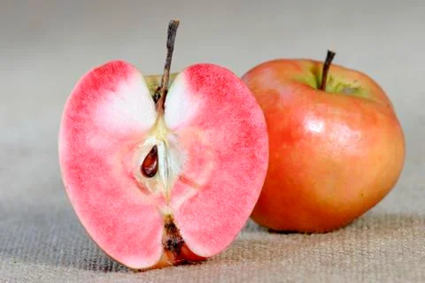 Apple sort blutapfel Stock Photos