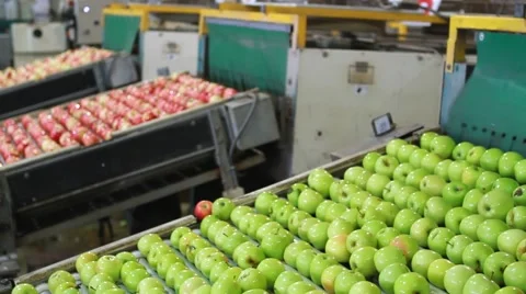 Apple sorting and packing factory Stock Footage 42047987