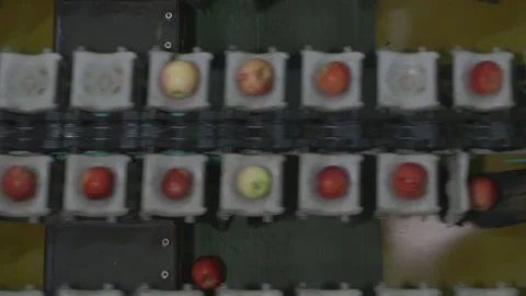 Apple sorting and packing plant Video stock 147008724