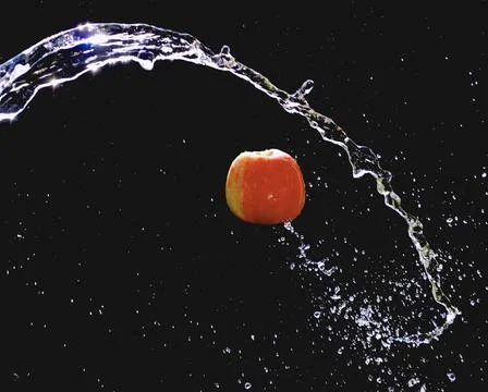 Apple Splash 写真素材