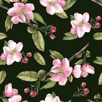 Apple spring blossom tree branch, flowers, buds, springtime seamless pattern Stock Illustration