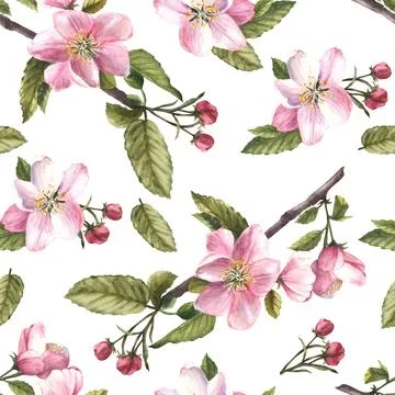 Apple spring blossom tree branch, flowers, buds, springtime seamless pattern Stock Illustration