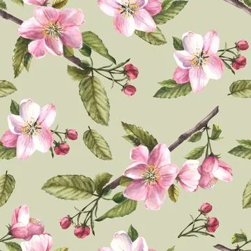 Apple spring blossom tree branch, flowers, buds, springtime seamless pattern Stock Illustration