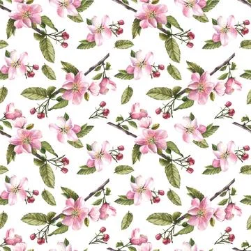 Apple spring blossom tree branch, flowers, buds, springtime seamless pattern Stock Illustration