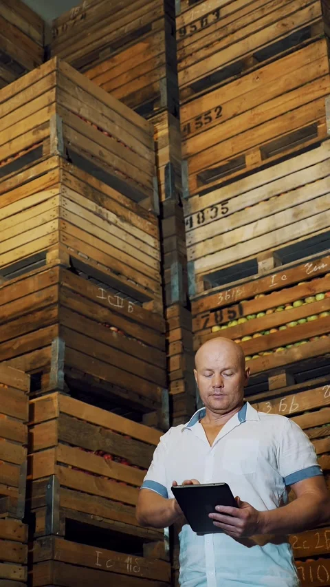 Apple storage. warehouse. stacks of wooden crates with apples in huge airless Stock Footage 311996948