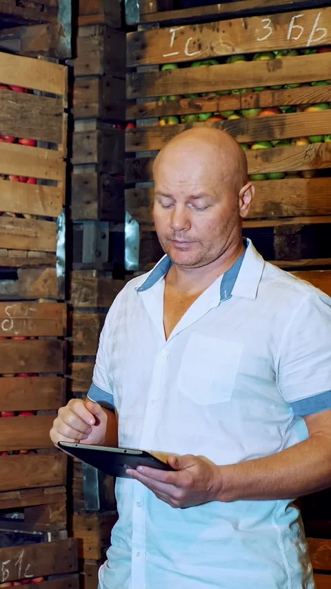 Apple storage. warehouse. stacks of wooden crates with apples in huge airless Stock Footage 314431798