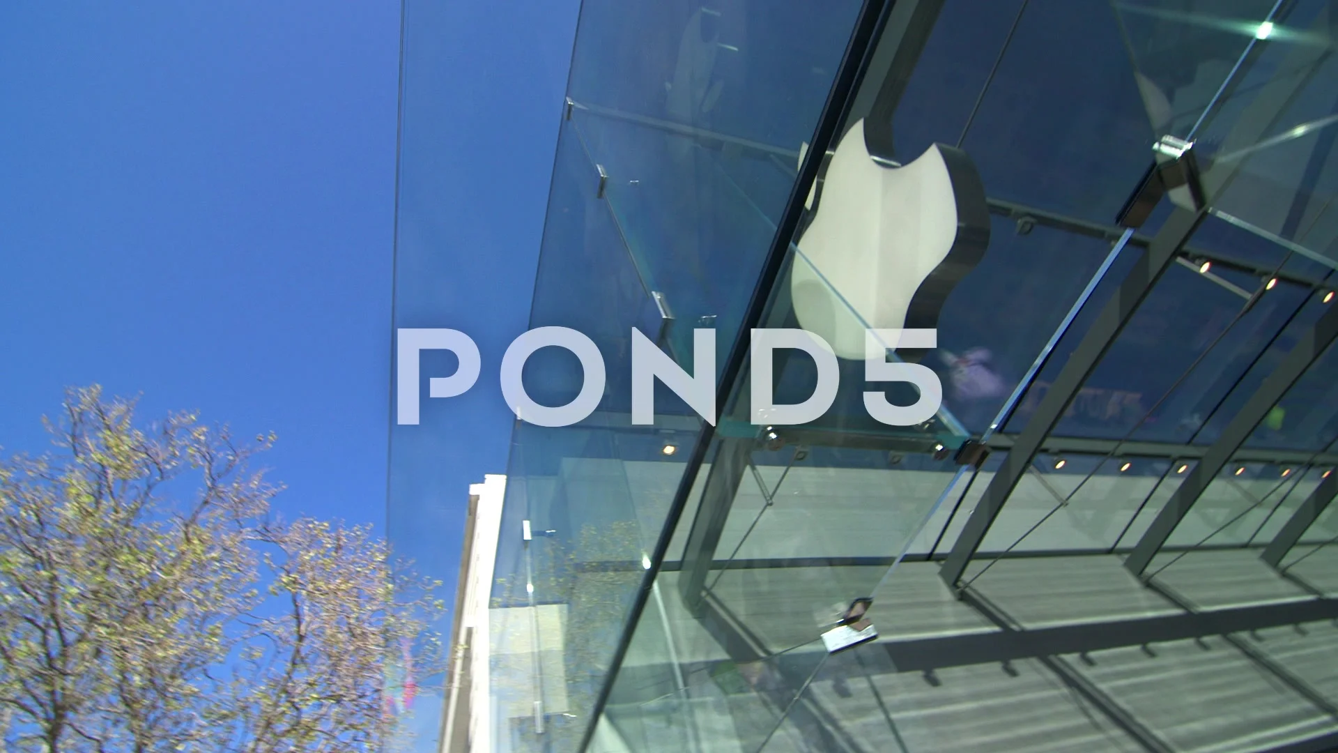 Full Glass Windows Of A Closed Apple Store Stock Photo - Download