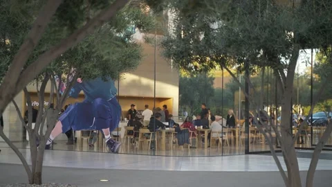 Apple Store Visitor Center 1 Stock Footage 141641023