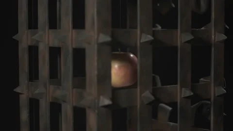An apple is suspended in a rusty metal cage. 4K 動画素材 127689506