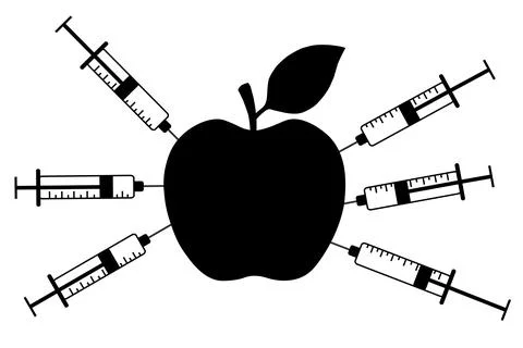 Apple with a syringe. Genetically modified fruit and chemical. GMO food. Vect Illustration