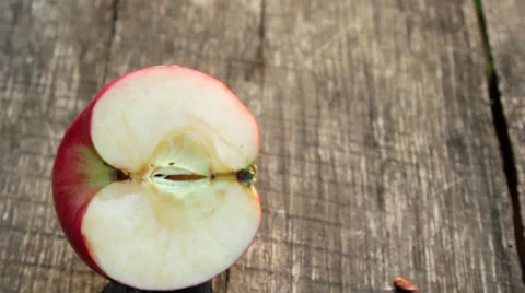 Apple on the table(falls-broken) Stock Footage 32225972