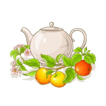 Apple tea illustration Illustrazione stock