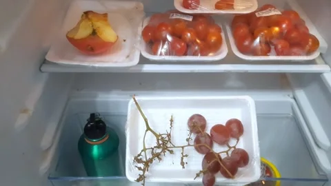 Apple, Tomatoes, Grapes Video stock 332465555