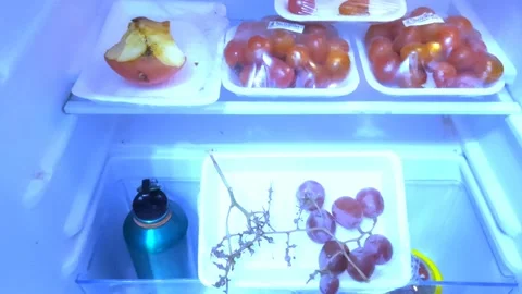 Apple, Tomatoes, Grapes, inside Refrigerator Stock Footage 332465645