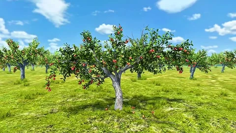Apple tree 3D animation Video stock 309911553
