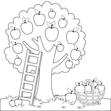 Apple tree and basket with apple fruits. Stock Illustration