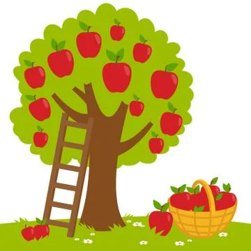 Apple tree and basket with apples. Vector illustration Stock Illustration