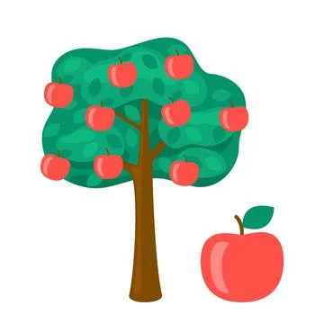 Apple tree and fruit red apple, harvest ripe fruit. Garden food crop. Vector Stock Illustration
