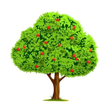 Apple tree with apple Stock Illustration