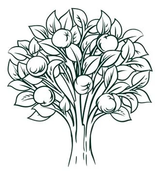 Apple Tree Concept Illustrazione stock