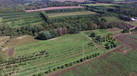 Apple tree farm in the Annapolis Valley 動画素材 56484515